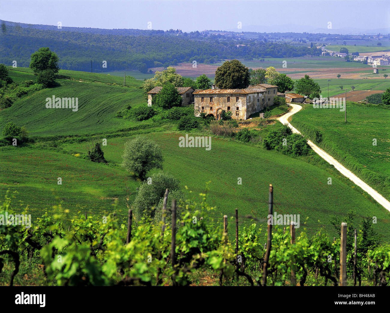 Tuscany farmhouse on hill Italy Stock Photo - Alamy