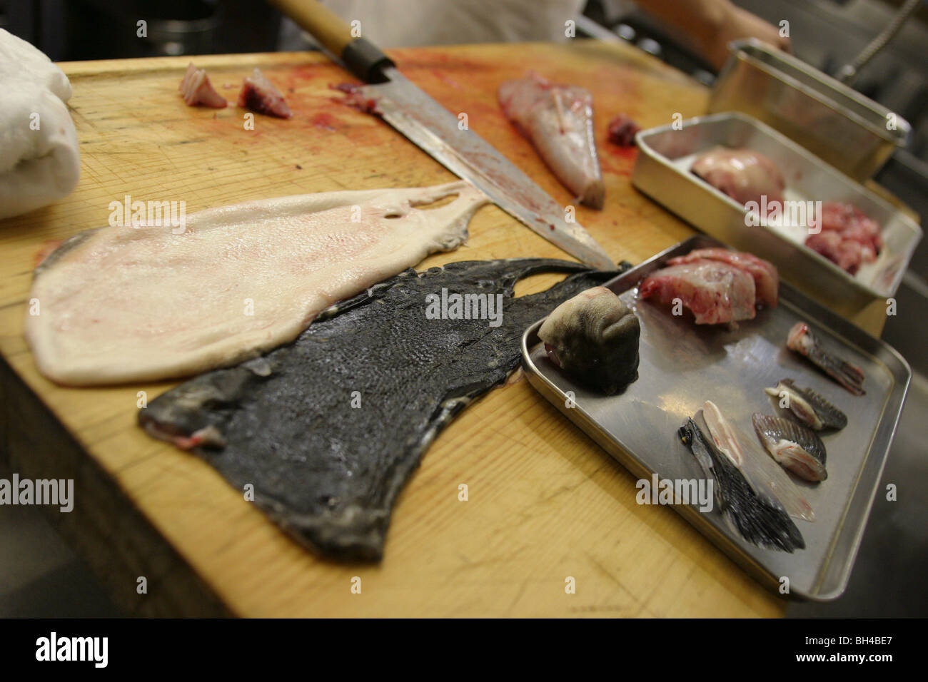 https://c8.alamy.com/comp/BH4BE7/the-preparation-of-fugu-blowfish-fish-in-the-wa-no-fu-club-a-fugu-BH4BE7.jpg