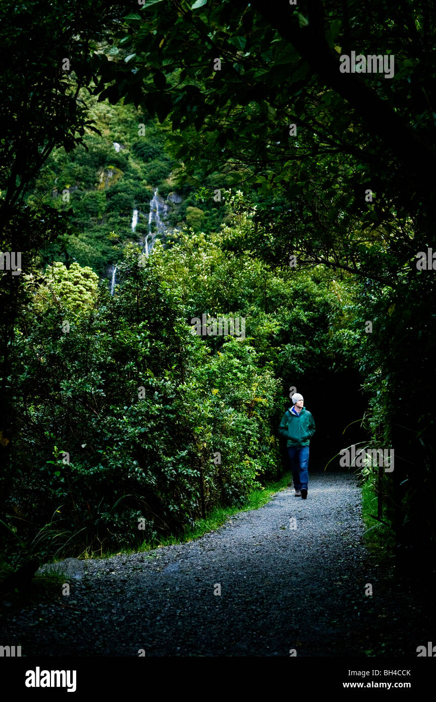 A young man walks along a wet trail in a raincoat in Franz Josef, New Zealand. Stock Photo
