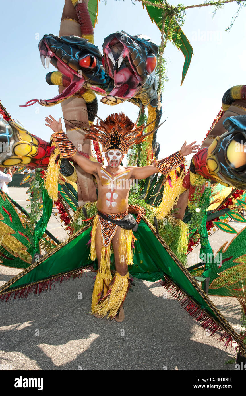 Man in costume for the Caribana Festival Parade, Toronto, Ontario Stock Photo