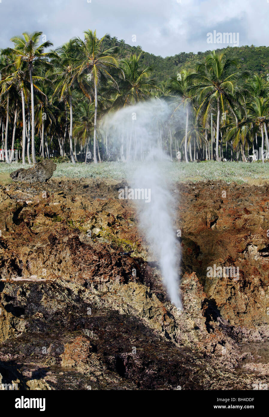 A blow hole on the coast, Samana peninsula, Dominican Republic Stock Photo