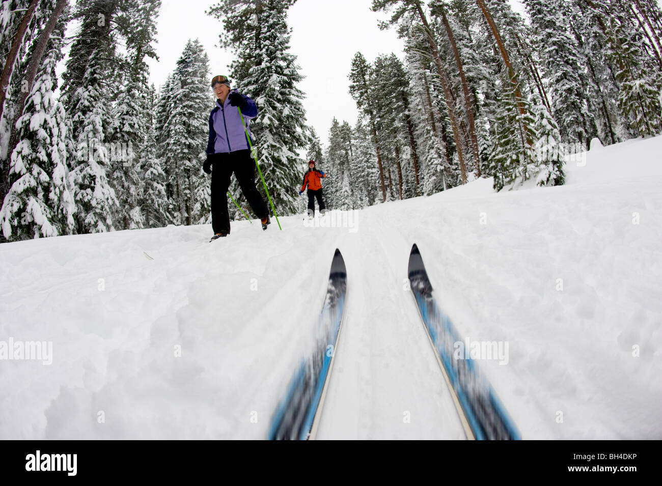 Low angle view of cross country ski tips and two young women nordic