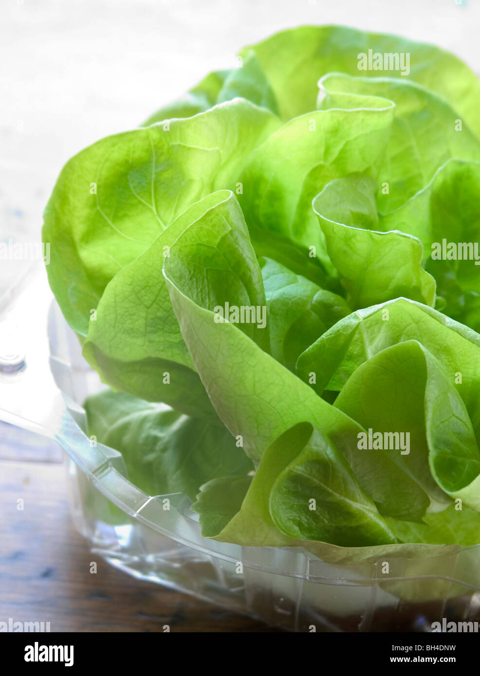 Packaged lettuce hires stock photography and images Alamy