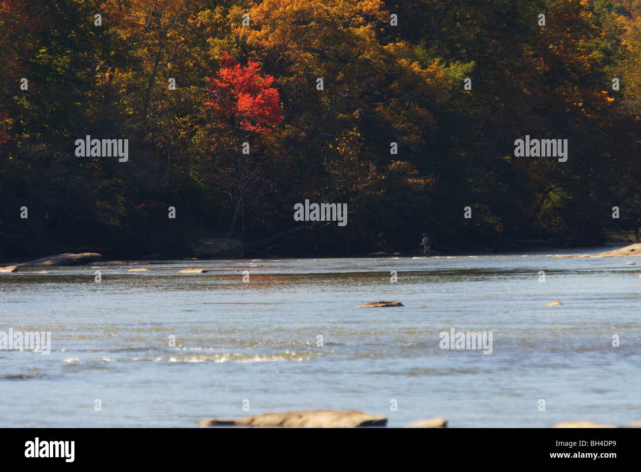 CLOSEUP A HAND HOLDING SHAKESPEARE PATRIOT SPIN CASTING REEL Stock Photo -  Alamy