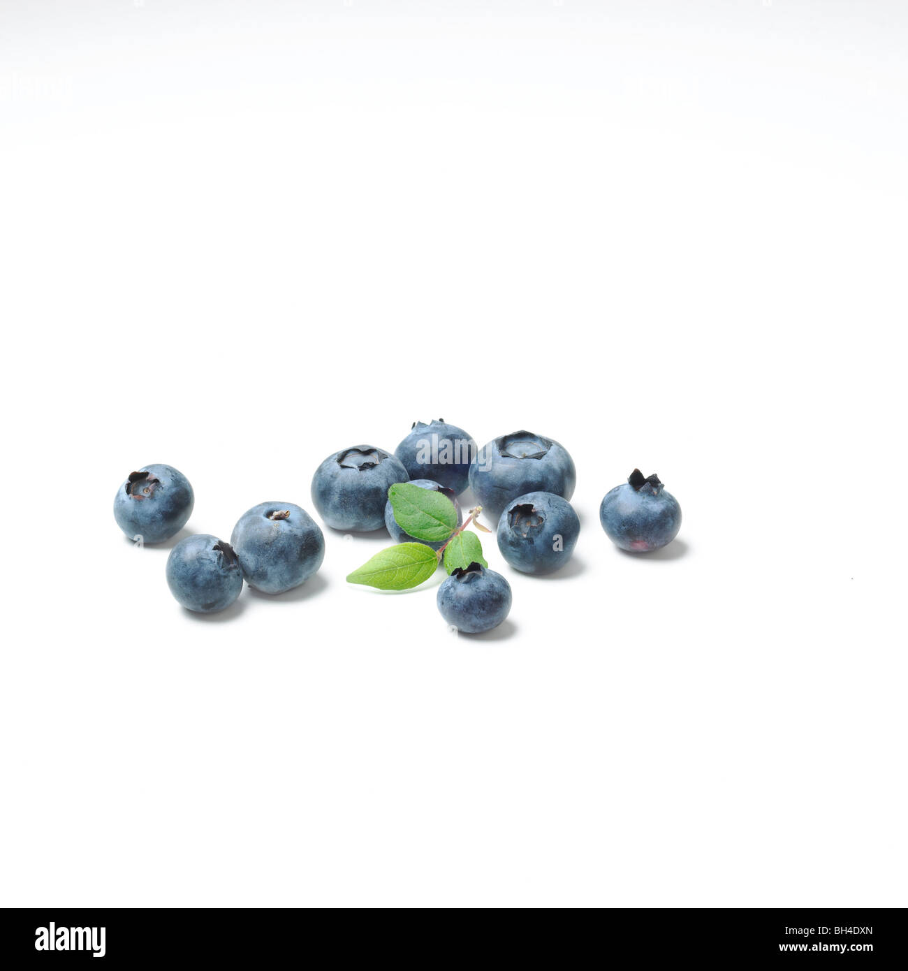 Blueberries on a white background Stock Photo
