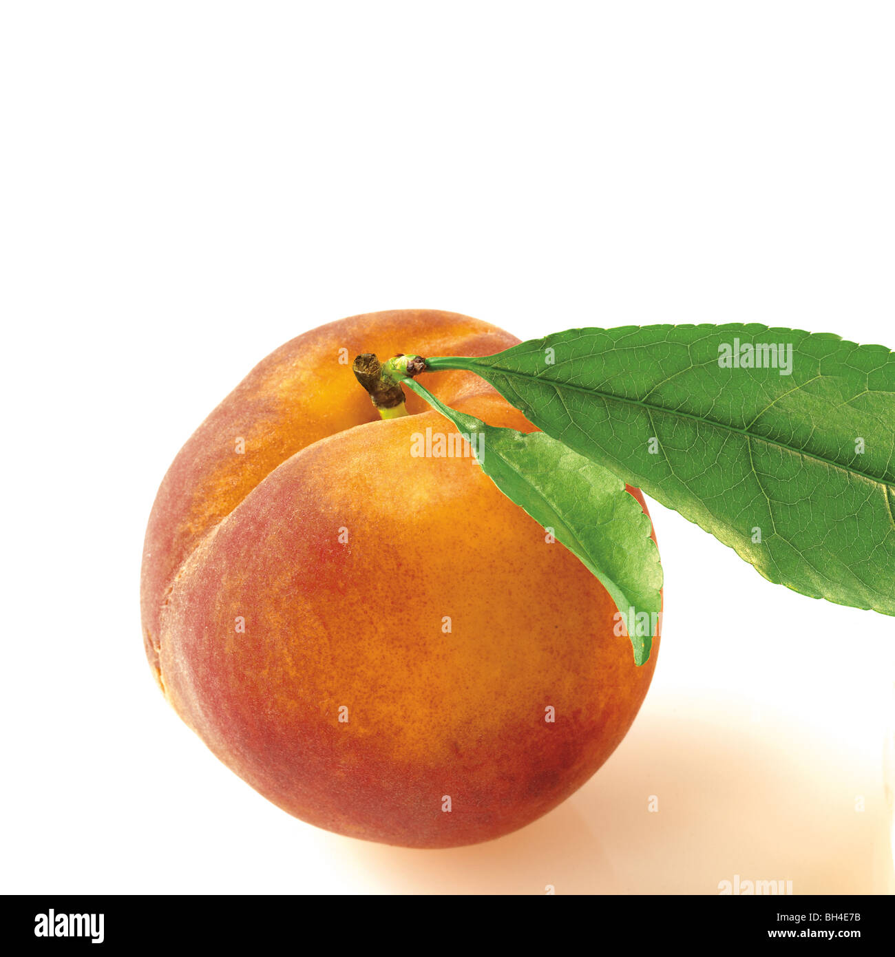Peach on a white background Stock Photo