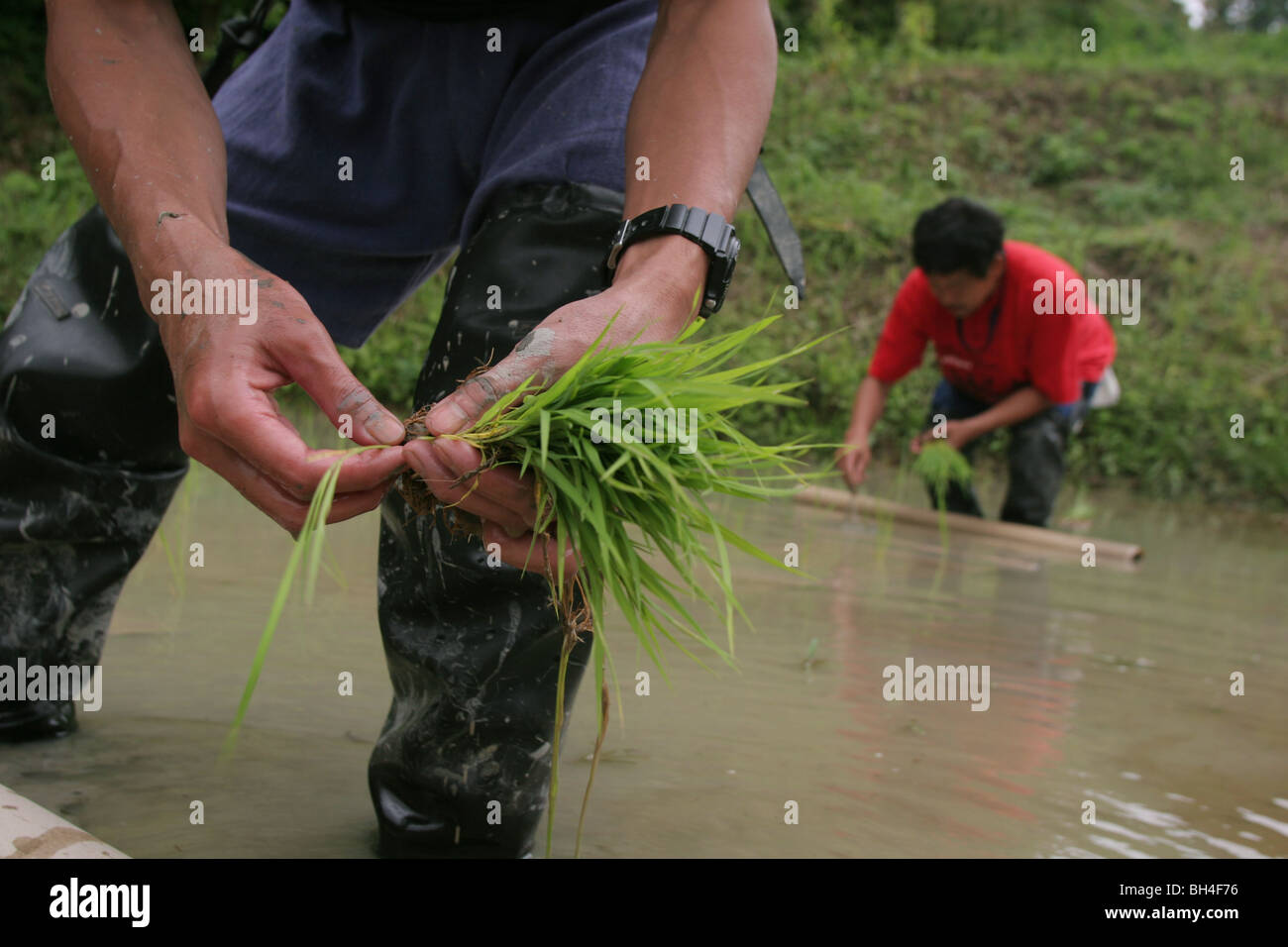 Methods of farming hi-res stock photography and images - Alamy