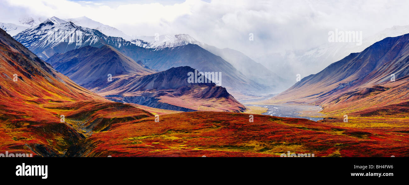 Fall colours and Alaska Range, Denali National Park, Alaska Stock Photo