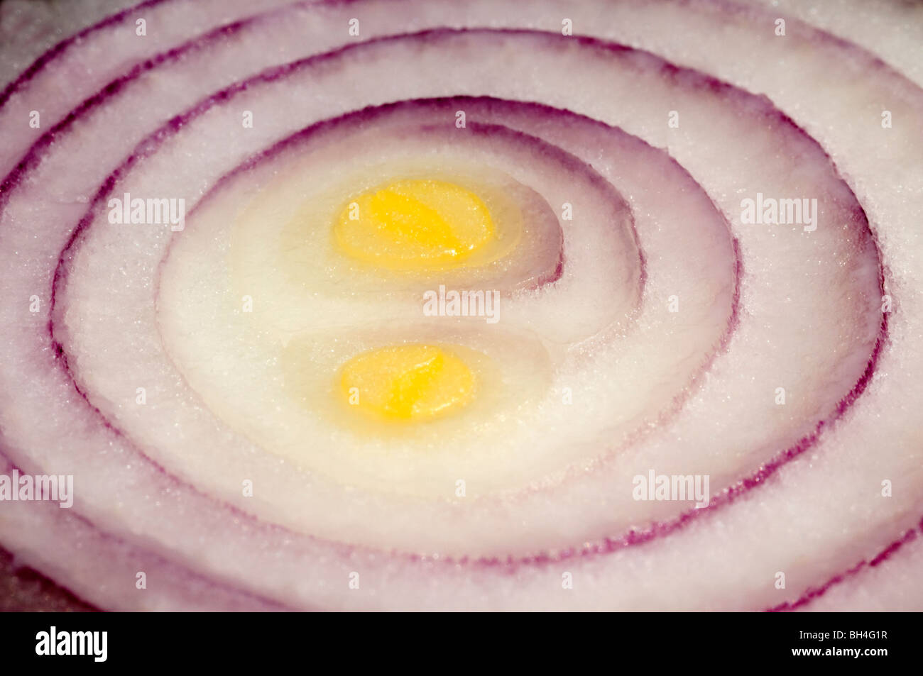 Close up abstract of a sliced section of the red onion showing pattern of red concentric rings. Stock Photo