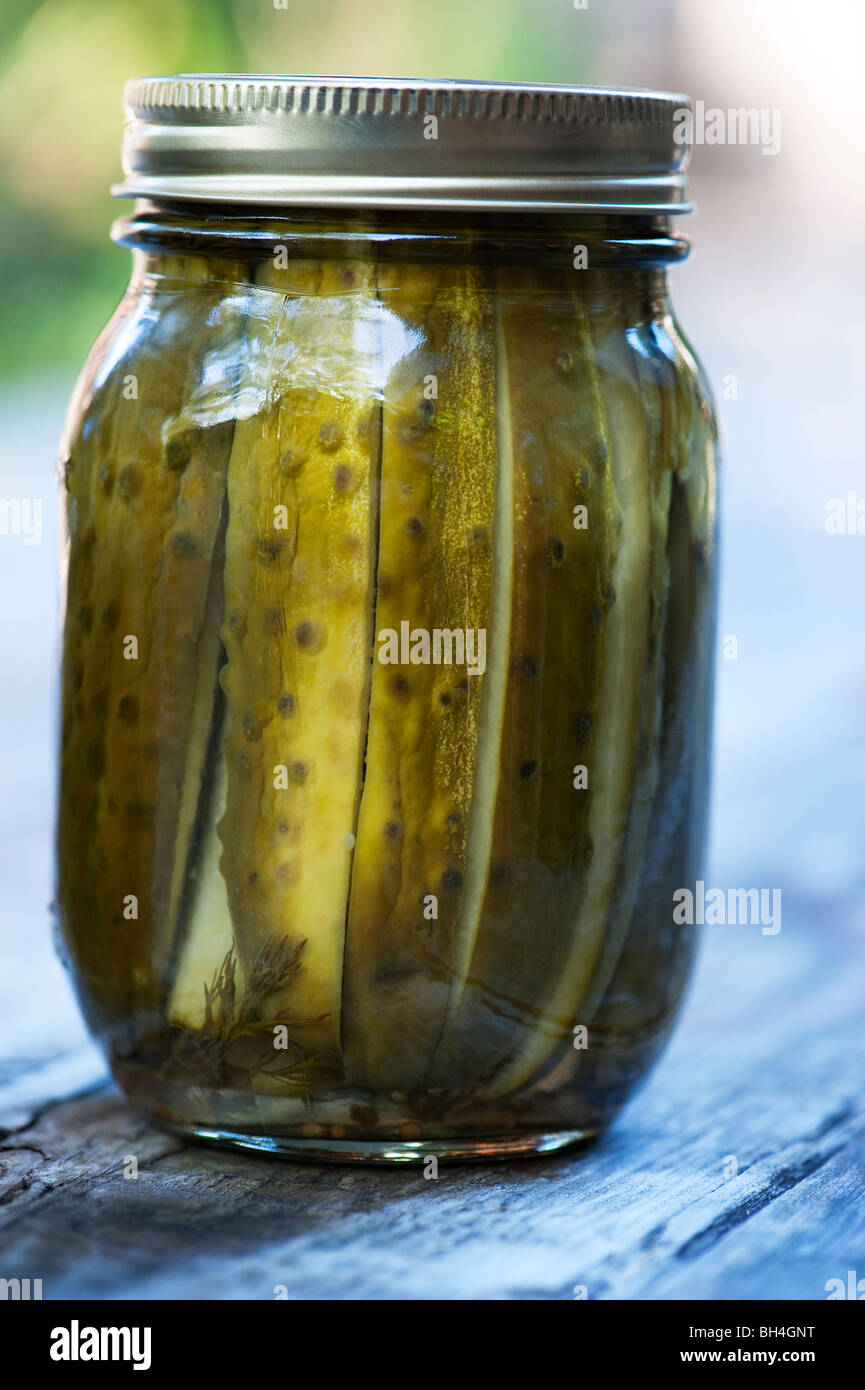 Homemade dill pickles in mason jar Stock Photo