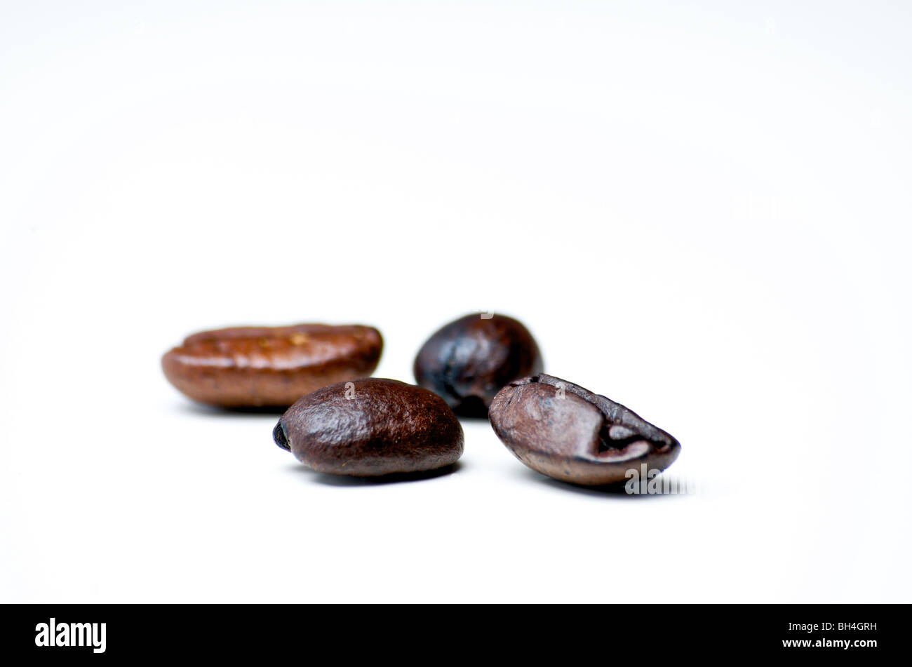 Four coffee beans on white surface, Otterburn Park, Quebec Stock Photo