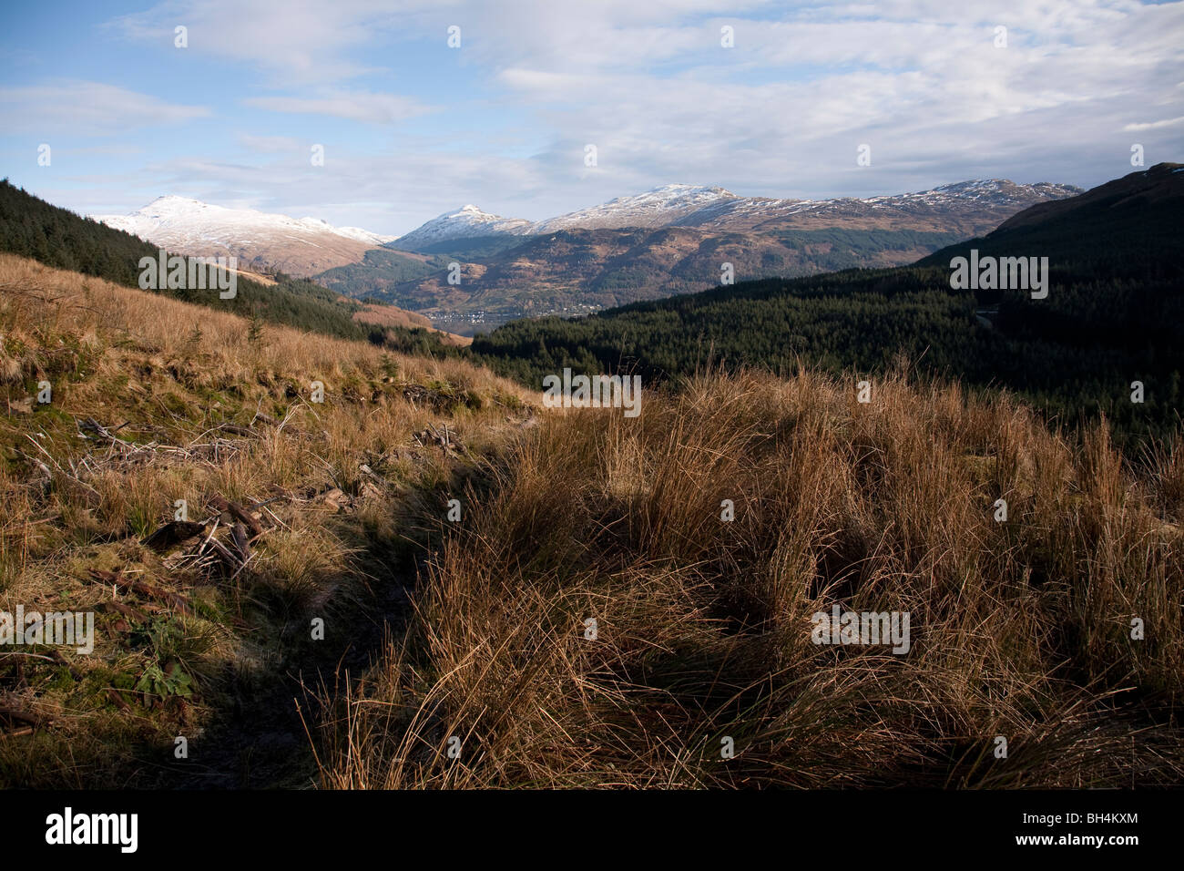 The Arrochar Alps,Beinn Donich and Bein Brack with Loch Goil in the distance from Beinn Bhula Stock Photo