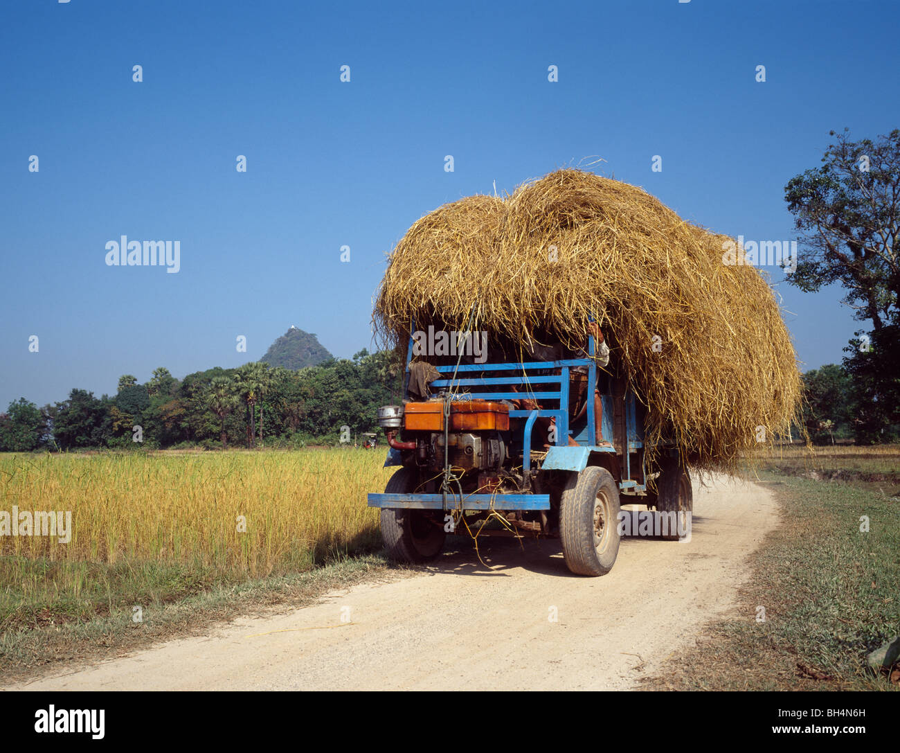 Overloaded vehicle with stray vollbeladener Heuwagen Kayin State Myanmar Burma Stock Photo