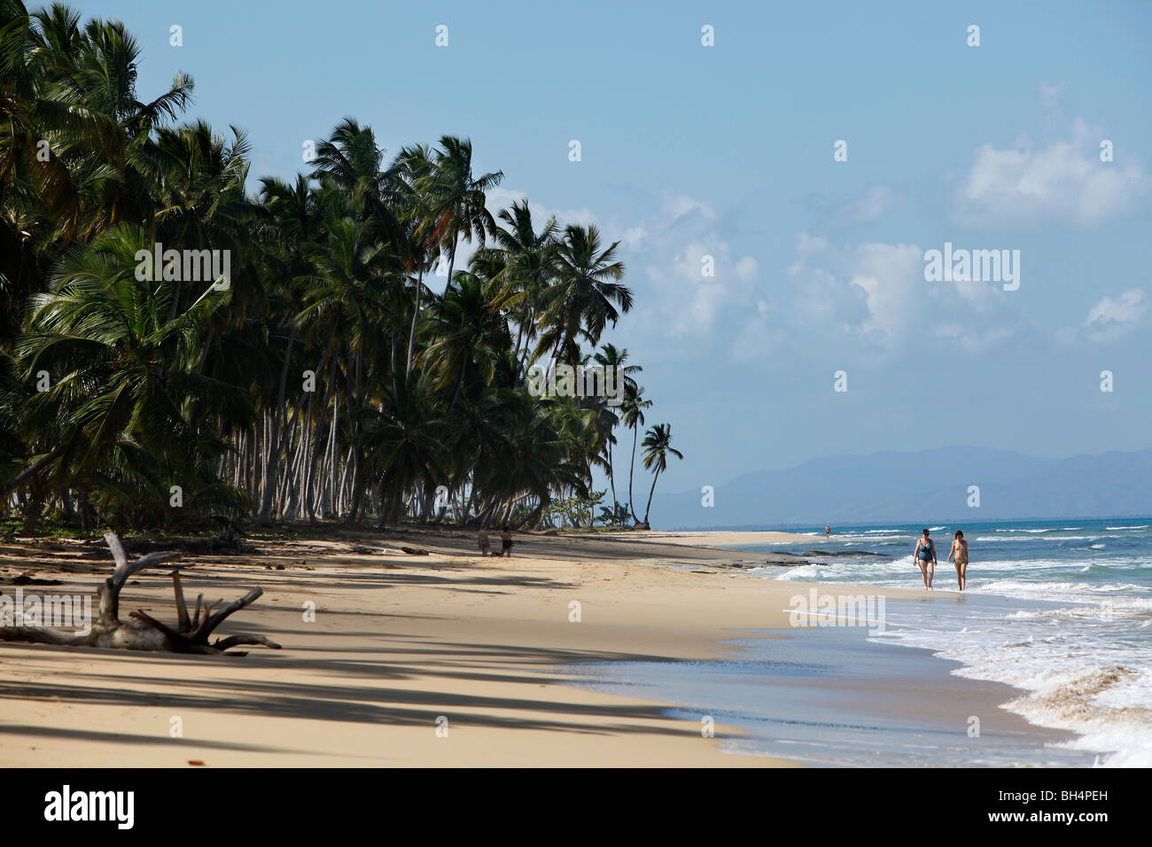 Tropical beach, Coson near Las Terrenas, Dominican Republic Stock Photo