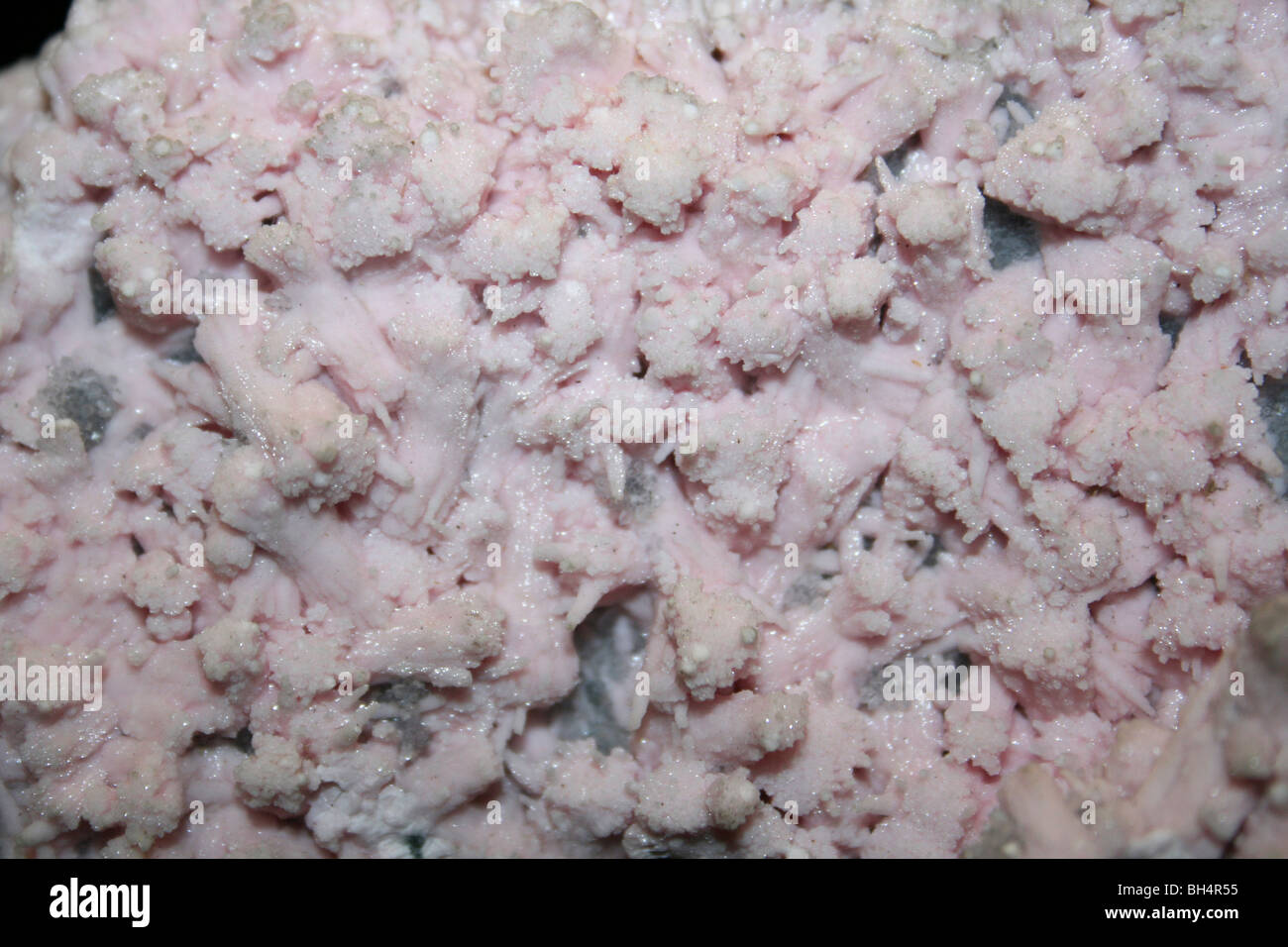 Rhodochrosite Manganese Carbonate From Olympus Mine, Cassandra, Greece Stock Photo