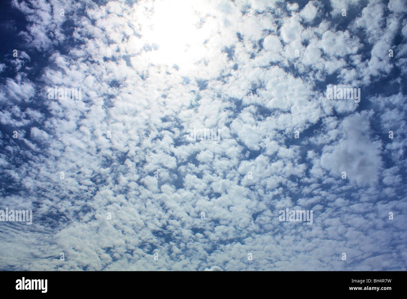 Cirrostratus cloud on a fine summer day. Stock Photo