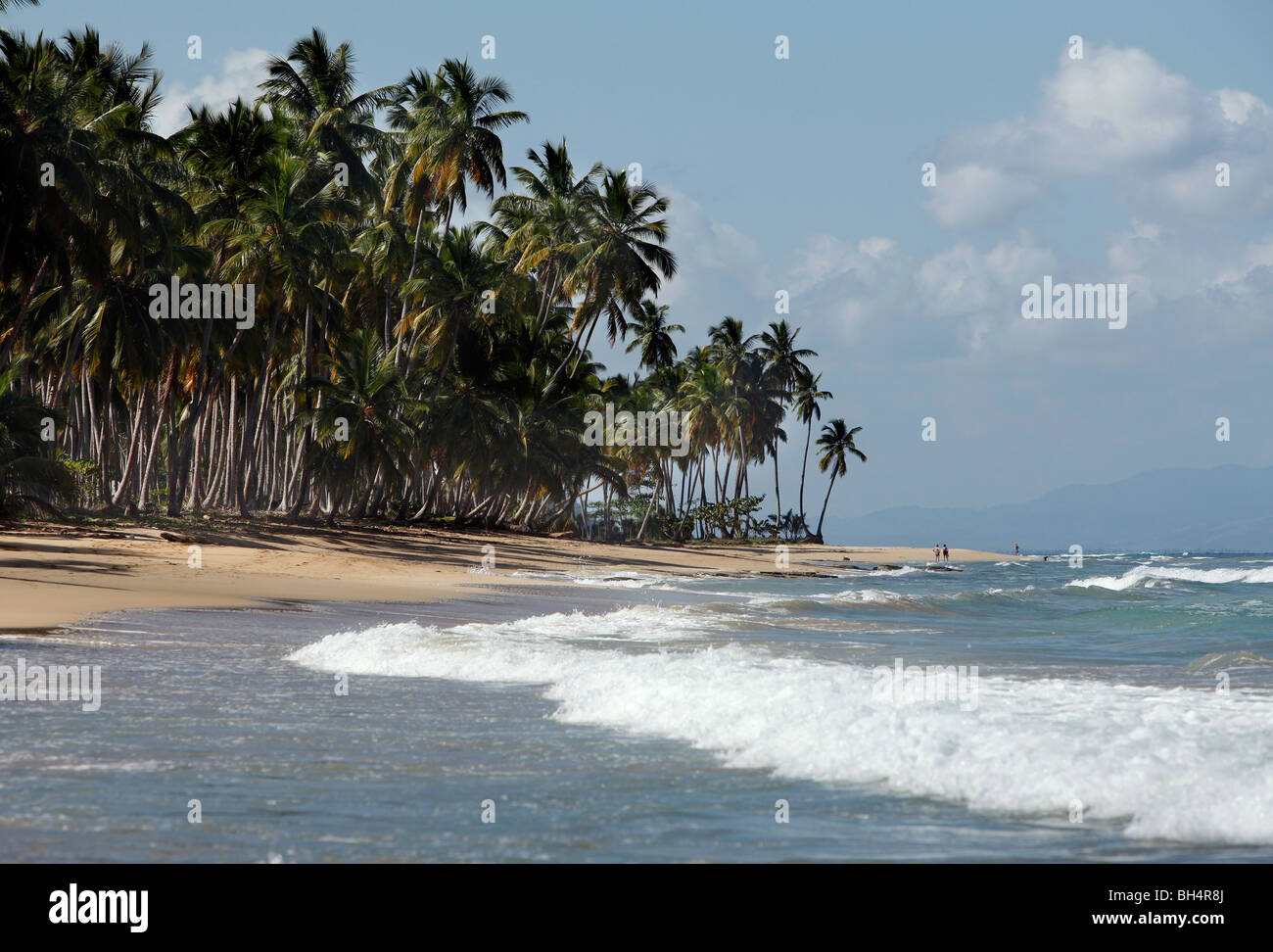 Tropical beach, Coson near Las Terrenas, Dominican Republic Stock Photo