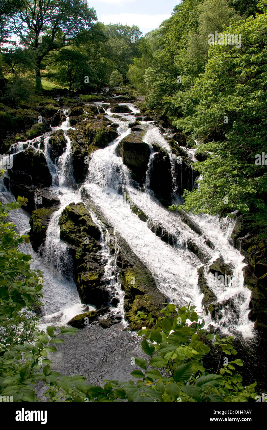 Scenic view of Swallow Falls through the trees in Betws-y-Coed. Stock Photo