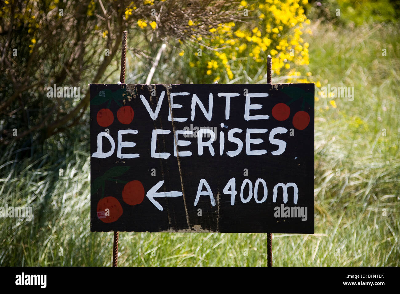 Cherries for sale Stock Photo Alamy