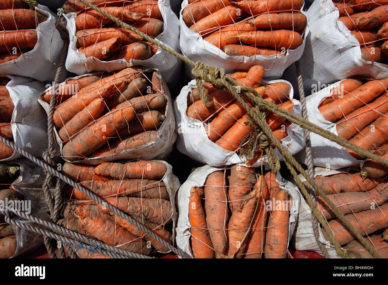 Dominican vegetables hires stock photography and images Alamy