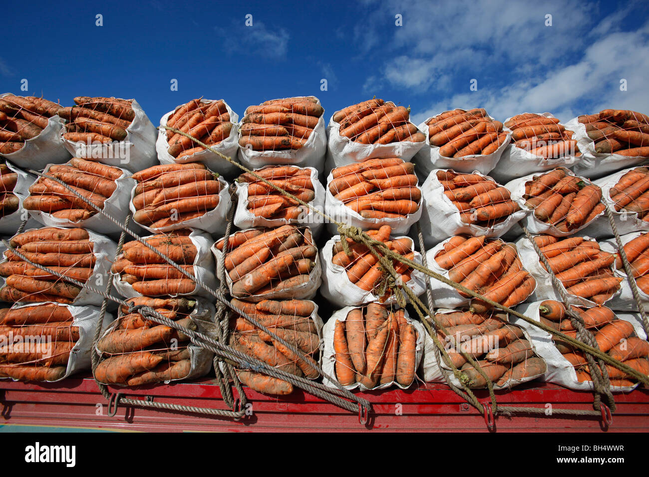 Dominican vegetables hires stock photography and images Alamy