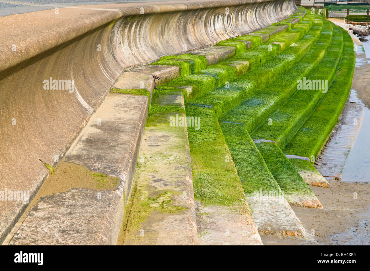 Seaweed on brake water at Ventnor. Stock Photo