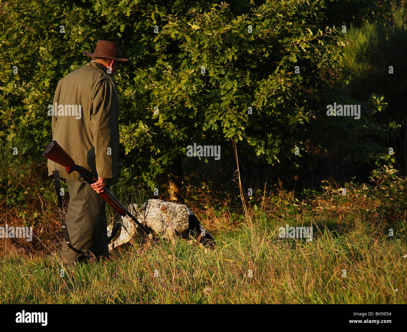 A hunter carrying a shotgun and his dog at the edge of some woodland in the early morning sun. Stock Photo