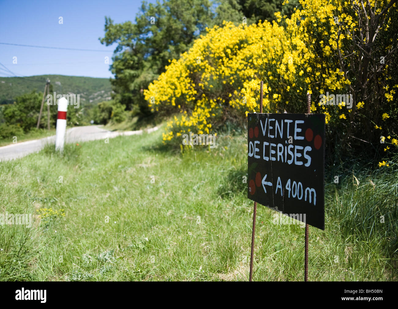 Cherries for sale Stock Photo Alamy