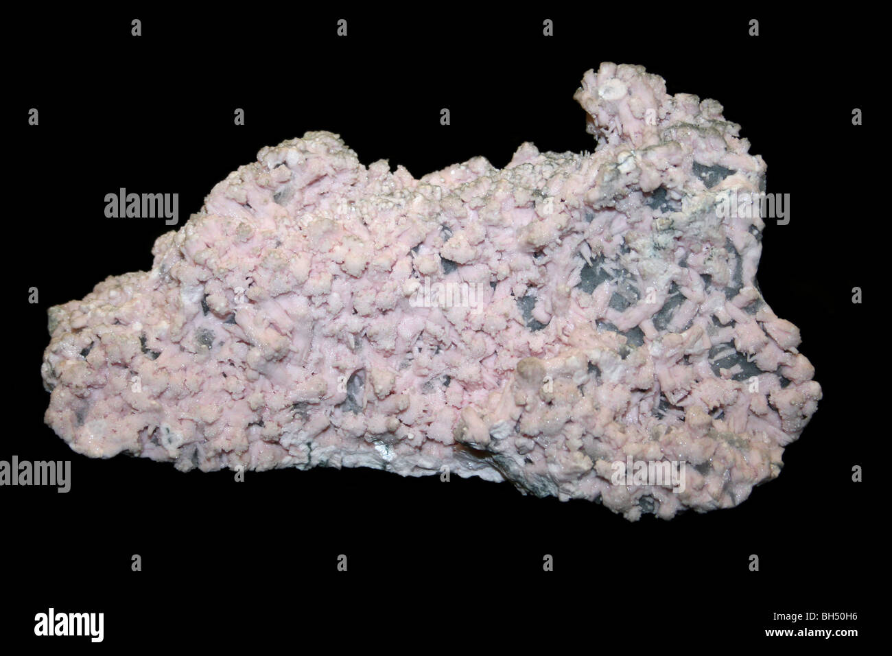Rhodochrosite Manganese Carbonate From Olympus Mine, Cassandra, Greece Stock Photo