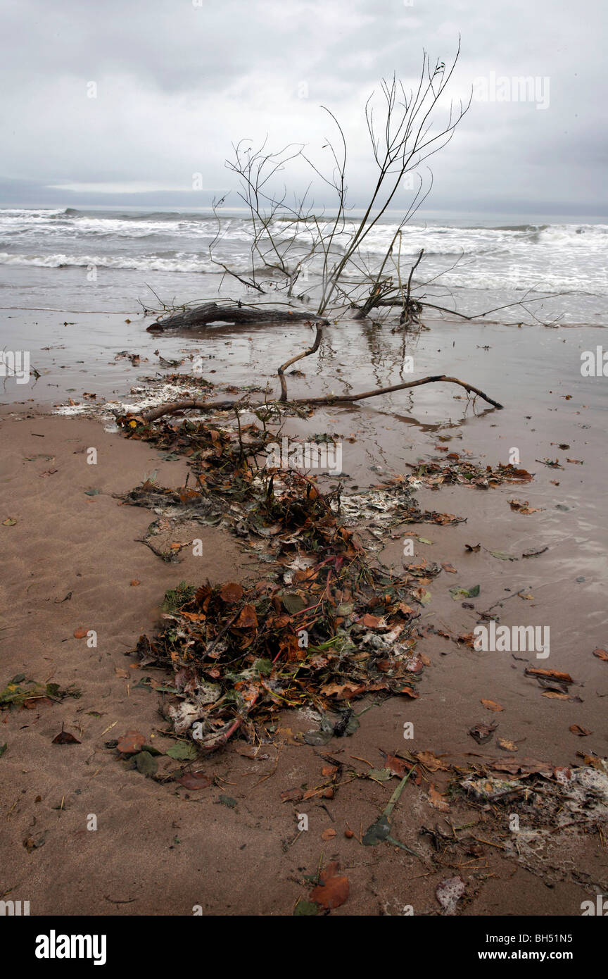 Coastal Debris in Aberdeenshire Stock Photo