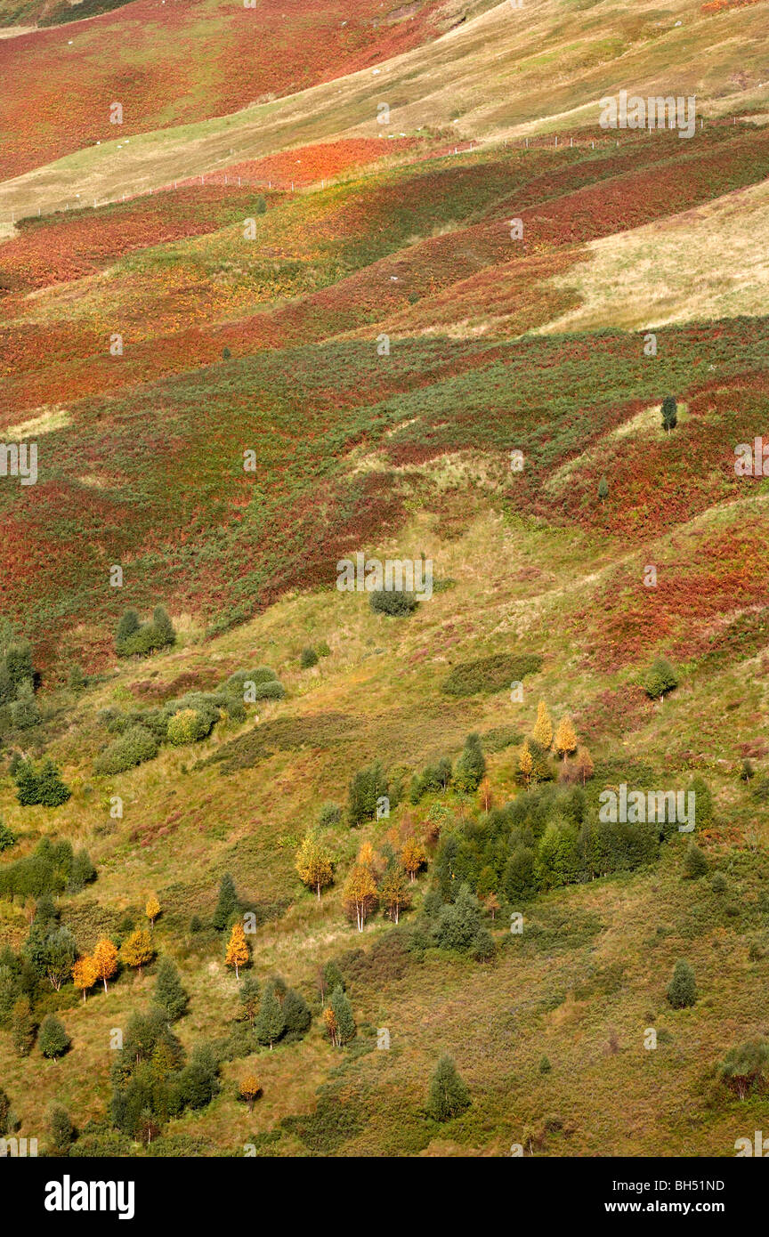 Glen Roy hills in autumn colours. Stock Photo