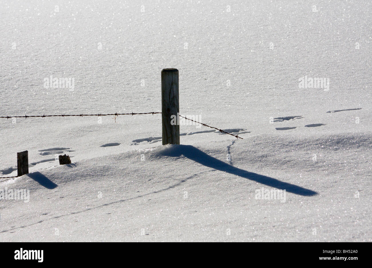 Fence posts in deep snow Stock Photo Alamy