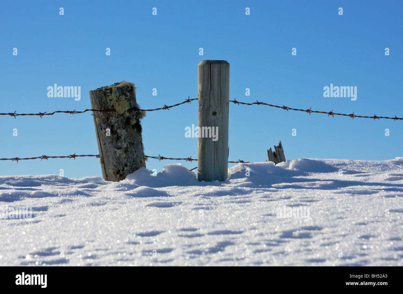 Fence posts in deep snow. Stock Photo