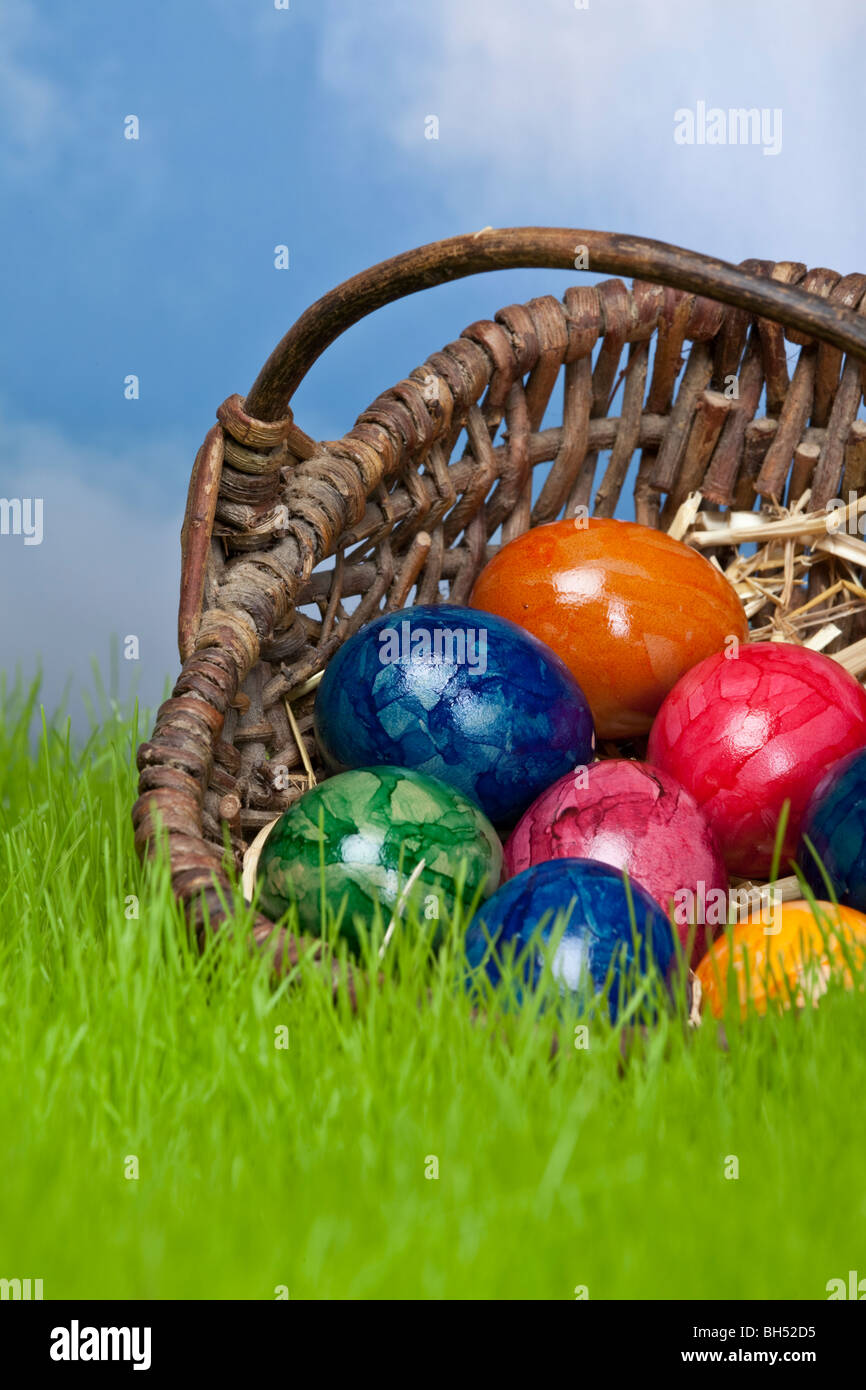 easter eggs in a basket on the grassland with the heaven in the background Stock Photo
