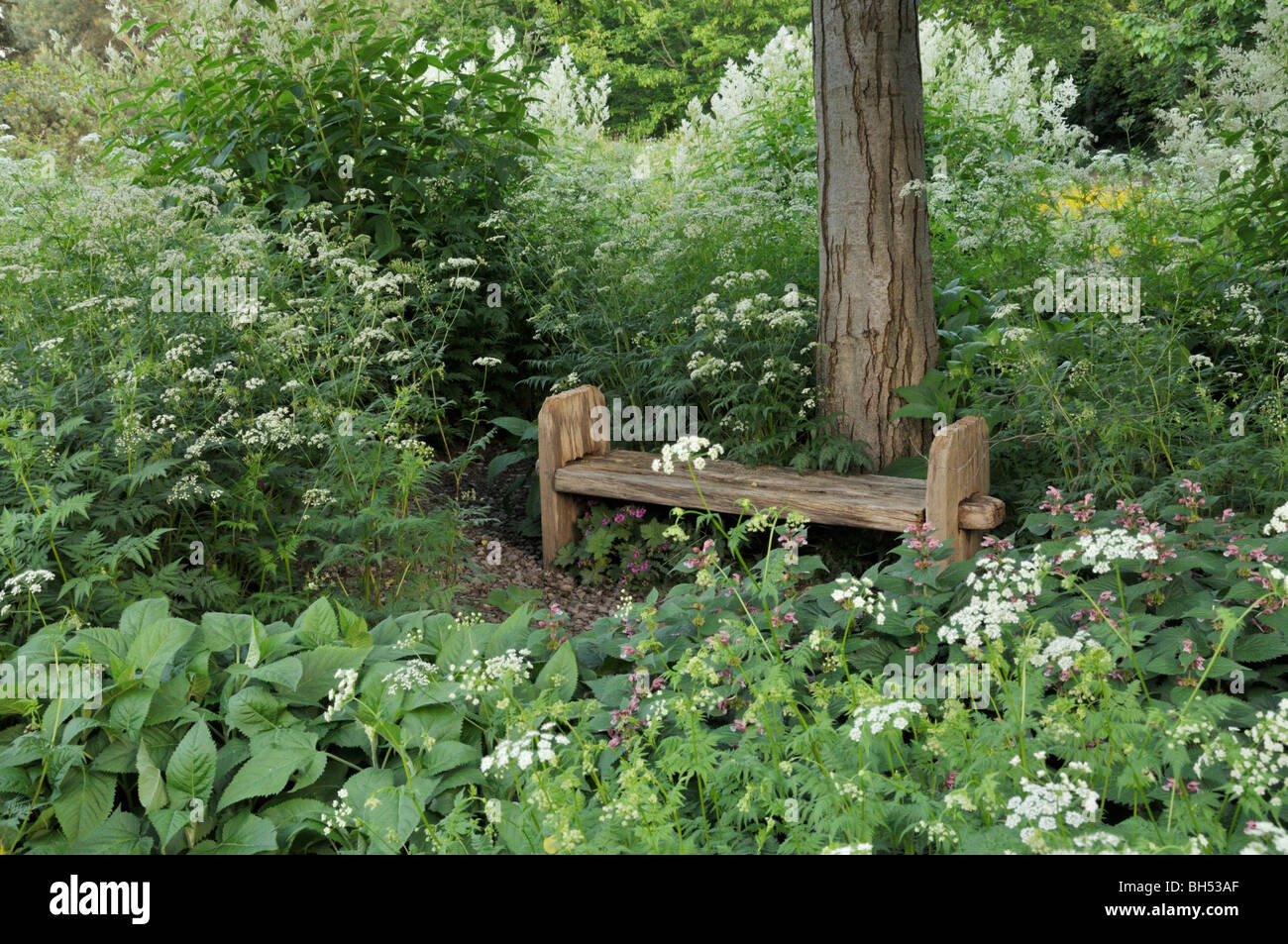 Basic bench in a perennial garden Stock Photo