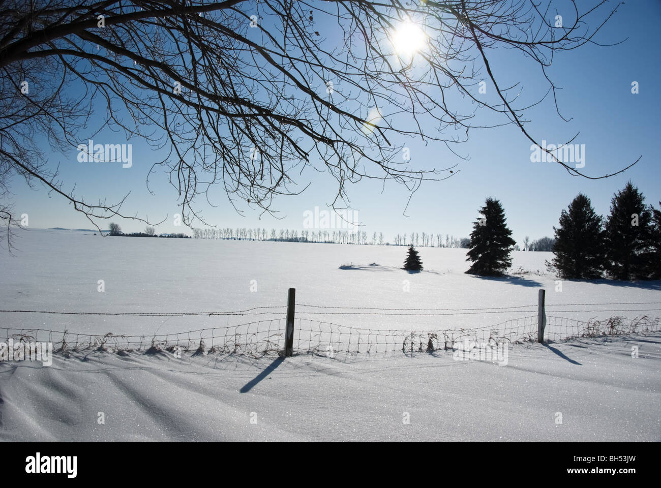 In a deep blue sky, the December sun shines on bright new snow, with a fence casting shadows and white haze on the prairie horiz Stock Photo