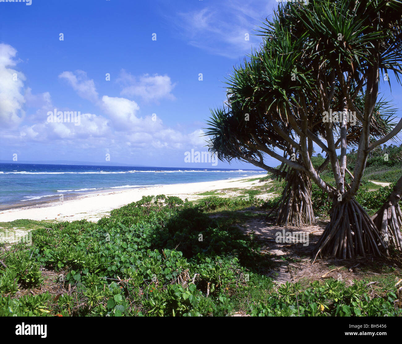Keleti Beach, Vahe Loto, Tongatapu, Kingdom of Tonga Stock Photo