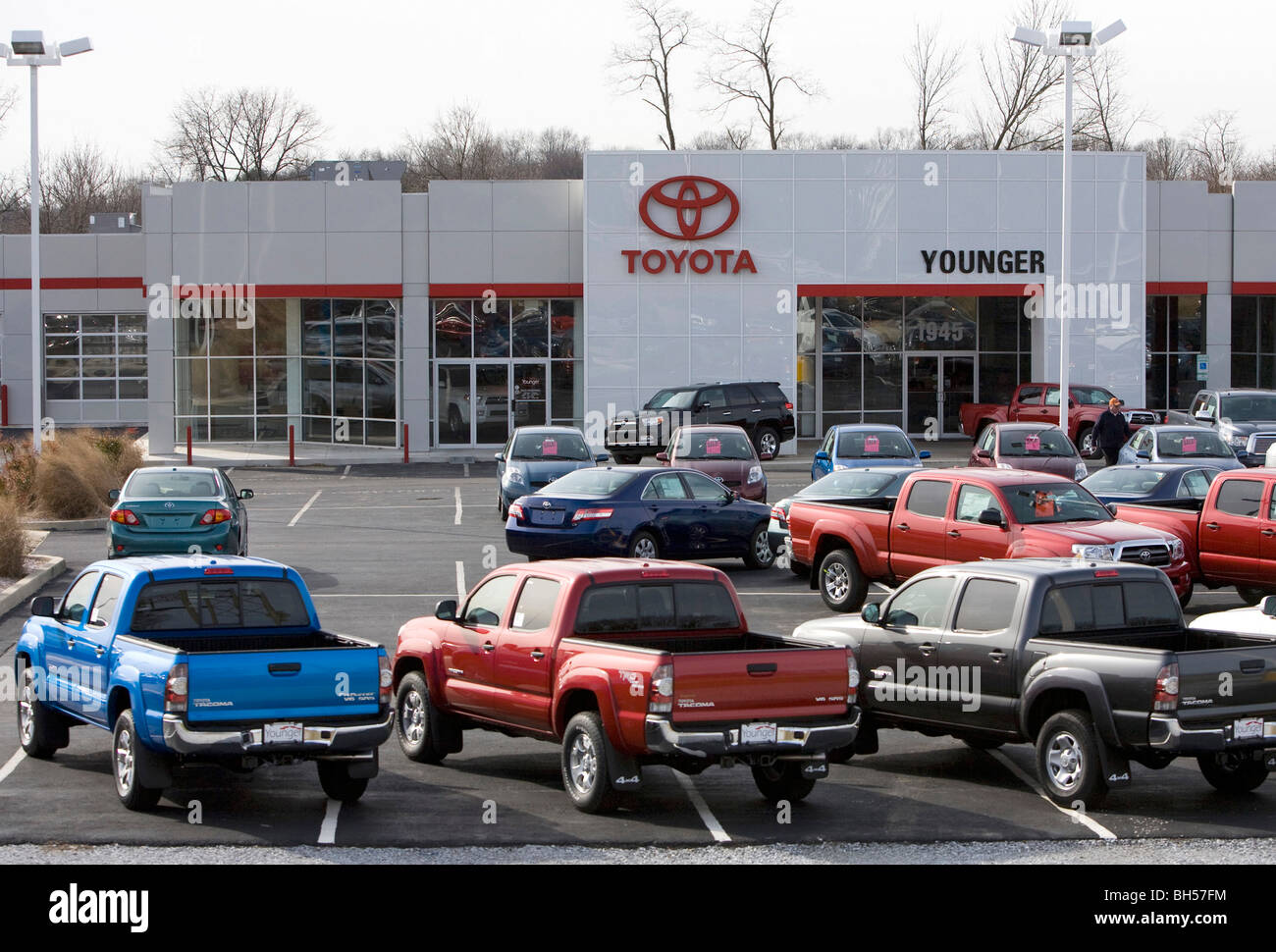 Toyota vehicles on a dealership lot Stock Photo Alamy