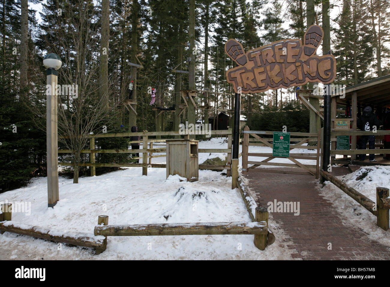 tree trekking adventure at centre parcs penrith uk Stock Photo Alamy