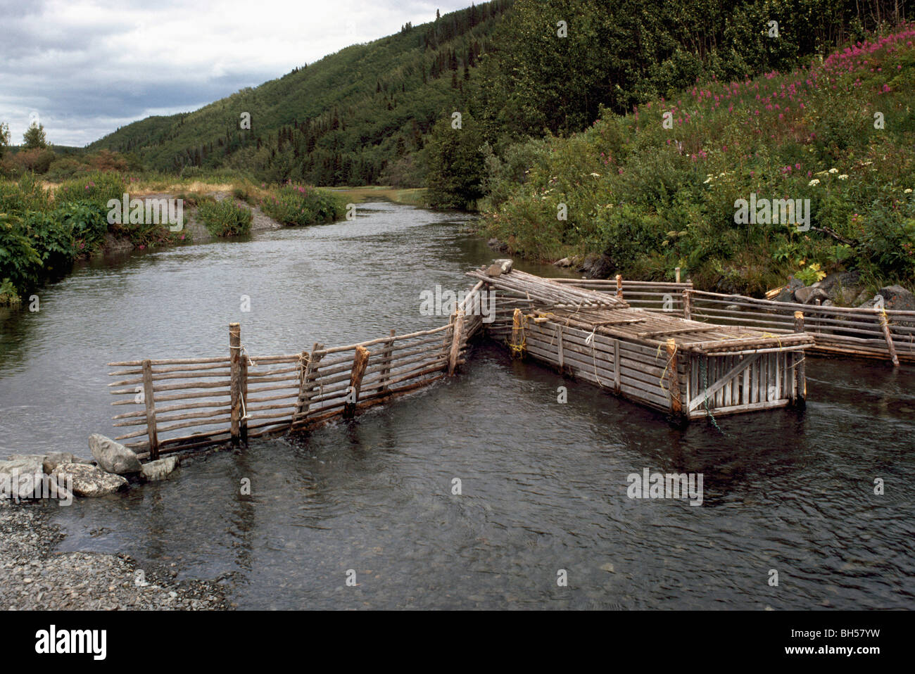 Traditional Native American Indian Salmon Fish Trap Weir on River