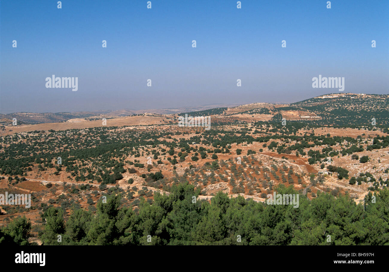 Gilead jordan hi-res stock photography and images - Alamy