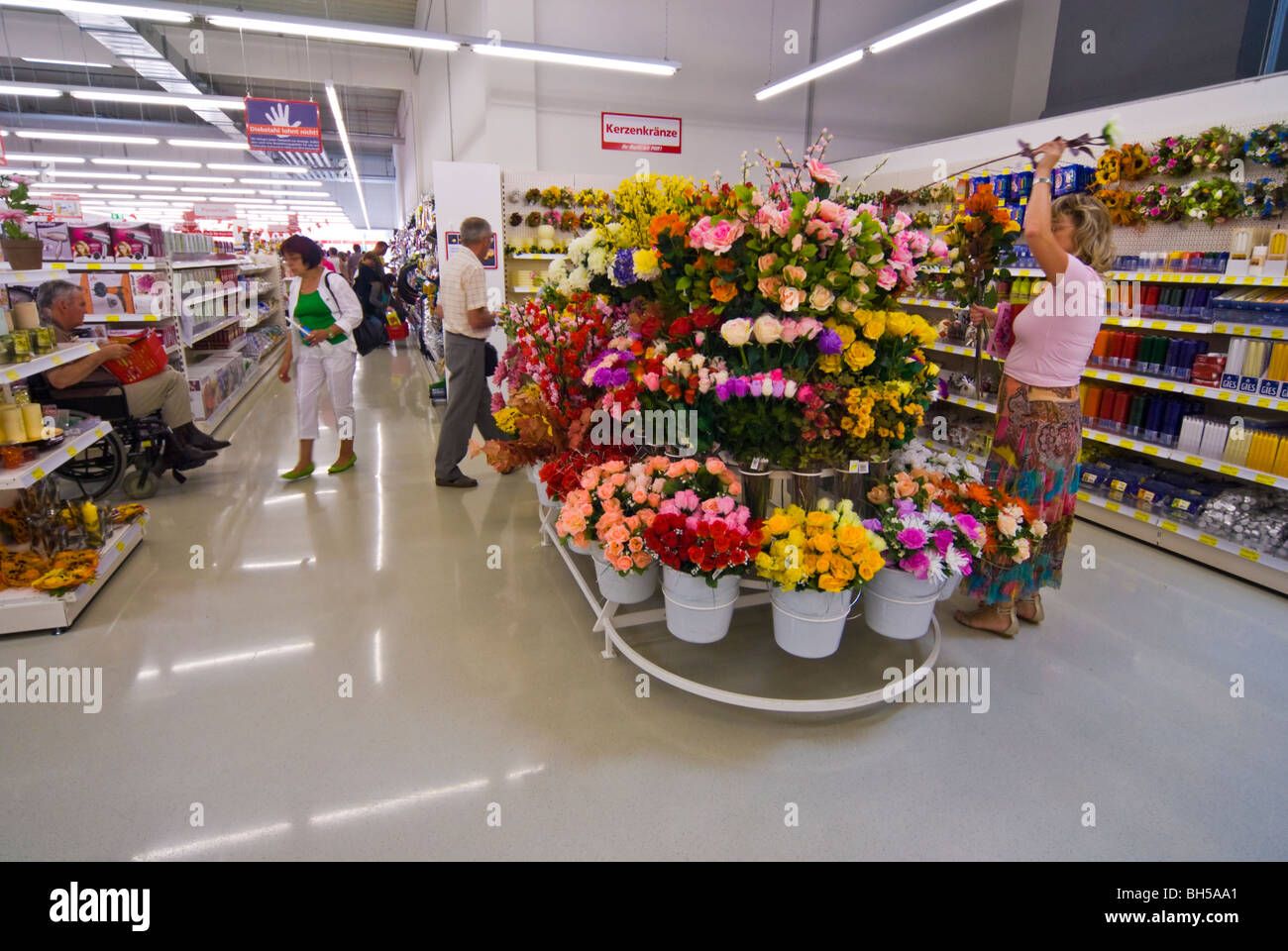 Flowers on display in a discount retail store, Germany Stock Photo Alamy