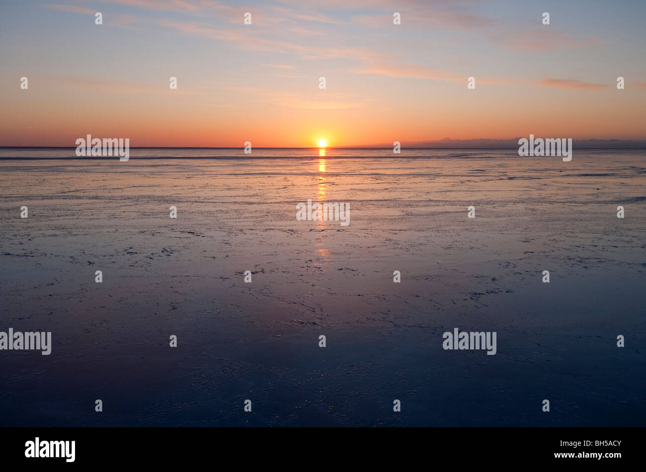 Last rays of sun reflecting from new pristine sea ice at sunset at Baltic Sea , Gulf of Bothnia , Finland Stock Photo