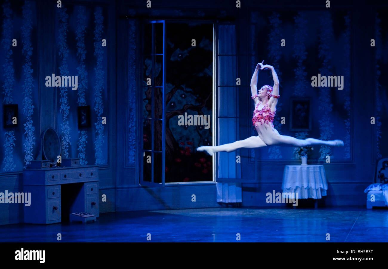 English National Ballet. 'Ballet Russes' season at Sadlers Wells Theatre. 'Le Spectre de la Rose'. Stock Photo