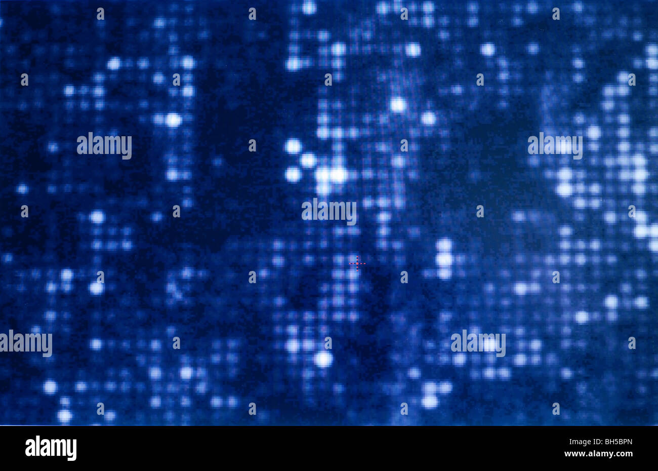 Microarray hybridization pattern Stock Photo