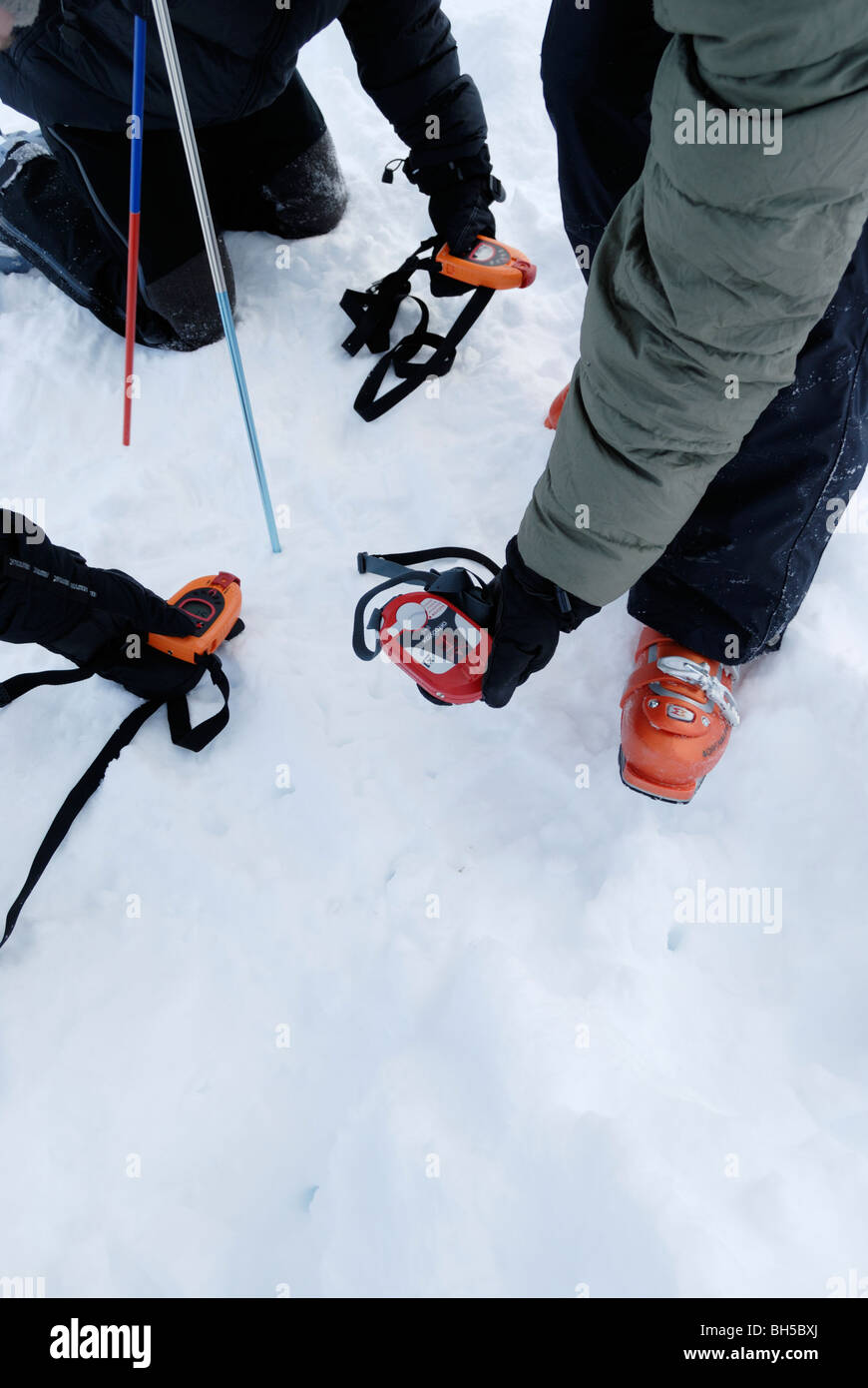 Avalanche search & rescue training with avalanche beacons and snow probes Stock Photo Alamy