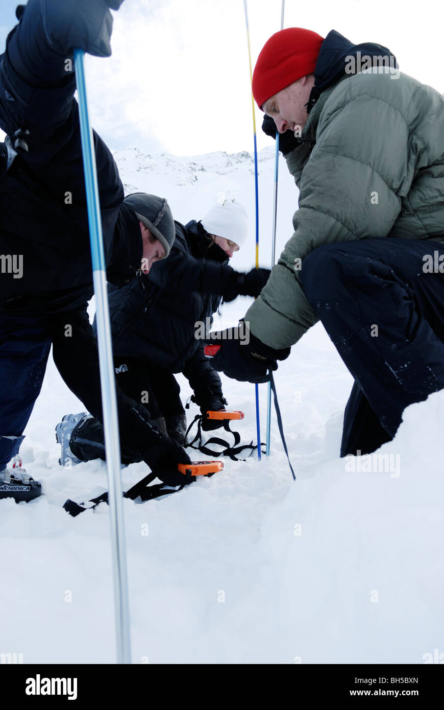 Avalanche search & rescue training with avalanche beacons and snow probes Stock Photo Alamy