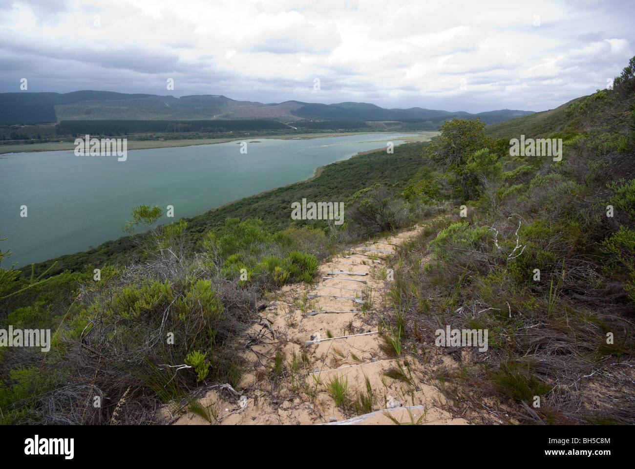 View from ancient sand dunes in the Goukamma Nature Reserve over Groenvlei, Sedgefield, South Africa Stock Photo