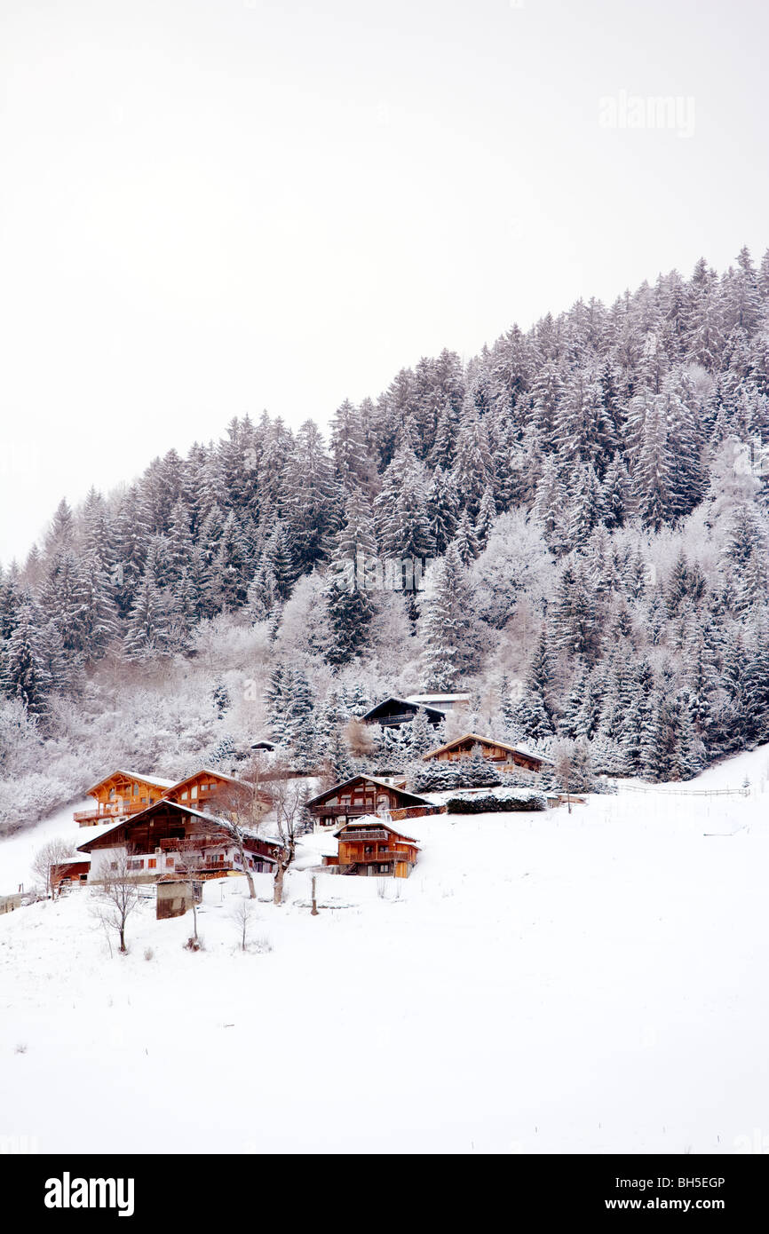 Snow scene. Chalet fir trees. Megève, Haute Savoie, France, Europe Stock Photo