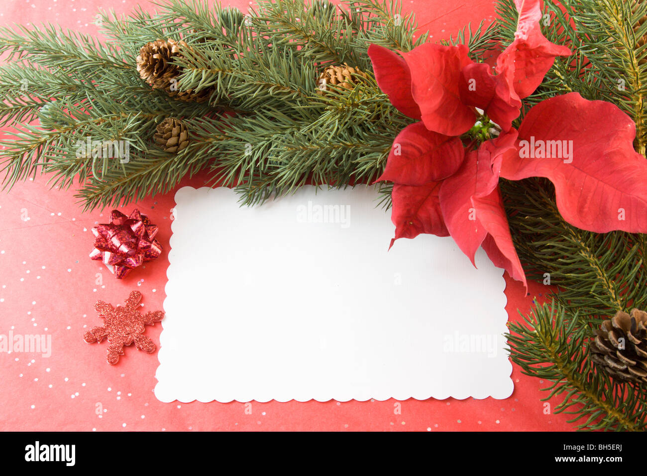 blank Christmas card with poinsettia bloom, fir branch, and copy space ...